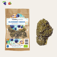 Fleurs de CBD certifiées BIO Haute-Provence Blueberry Cheese en sachet - Le Canebier en Provence